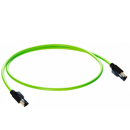 Fast Ethernet Cat5e Data Double-Ended Cordset