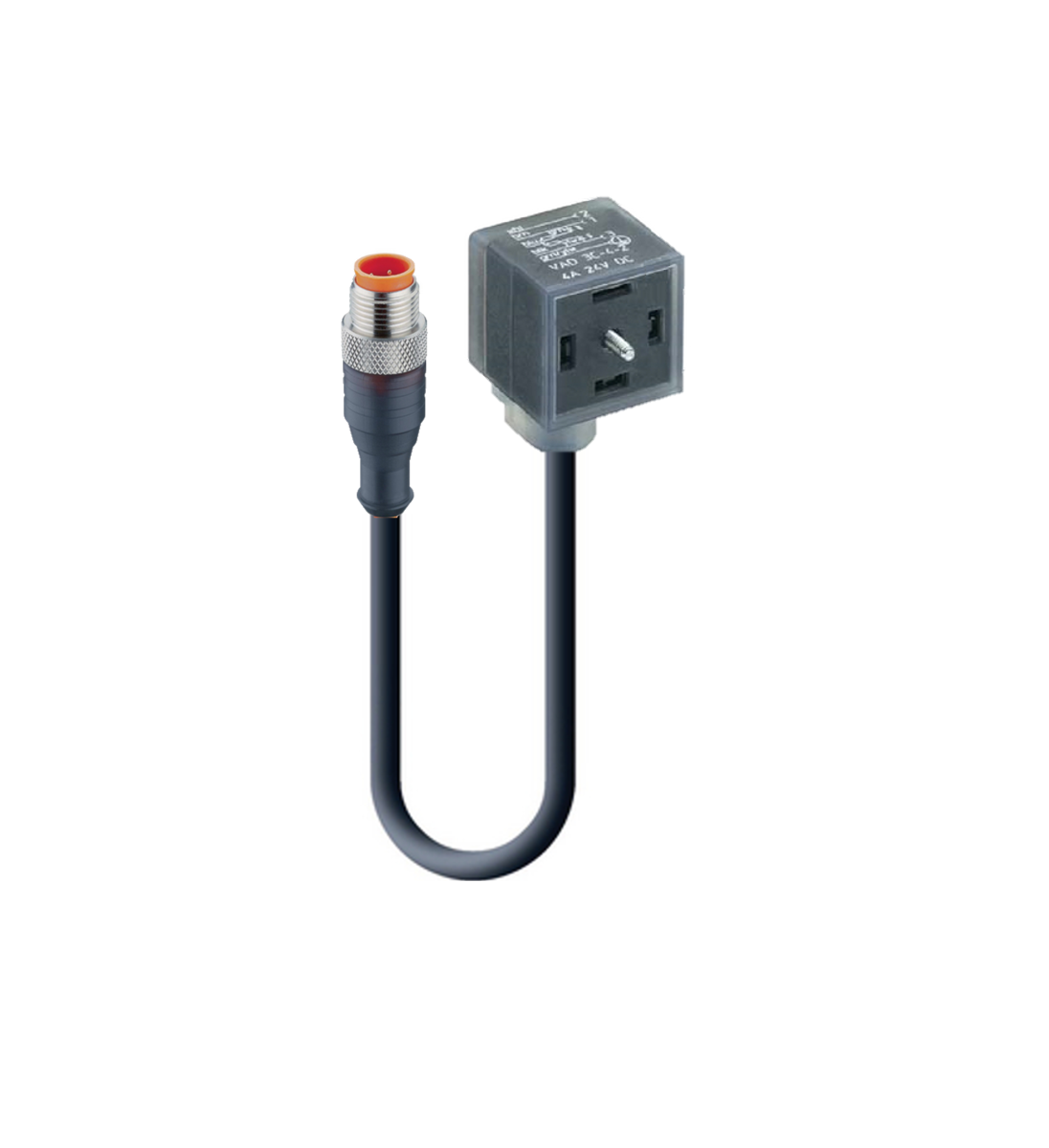 DIN EN 175301-803-A, Cordset, double ended