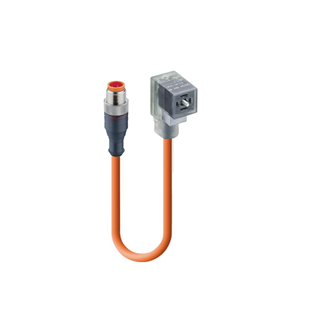 DIN EN 175301-803-C, Cordset, double ended