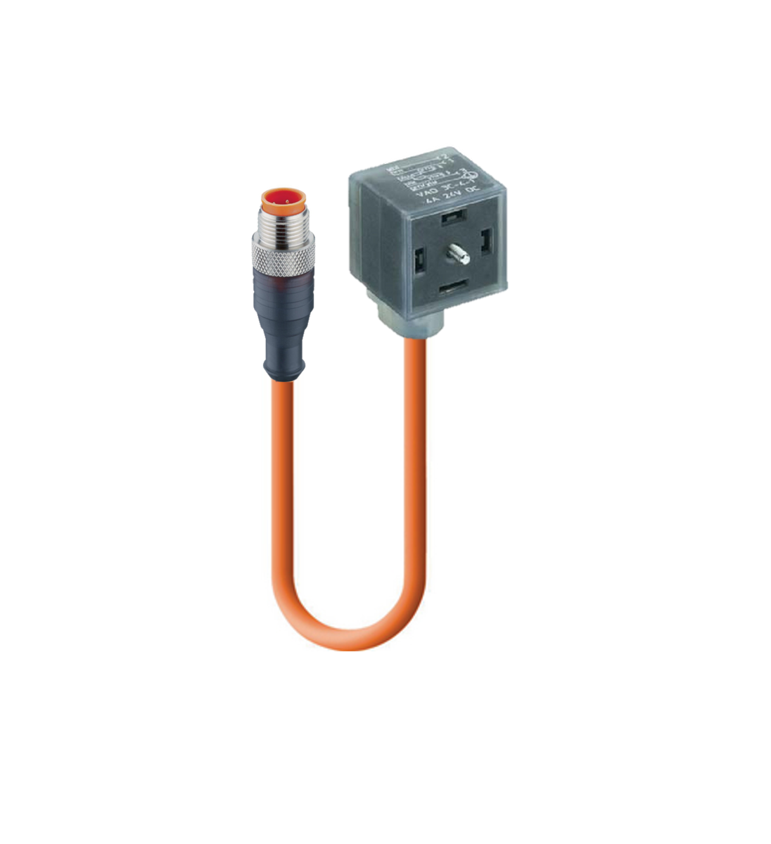 DIN EN 175301-803-A, Cordset, double ended