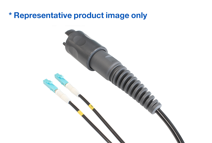 pxeb5202c005_2.jpg