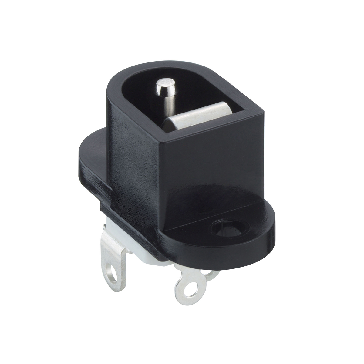 Power supply chassis socket