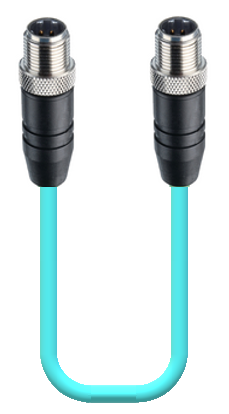 M12-M12-teal.png