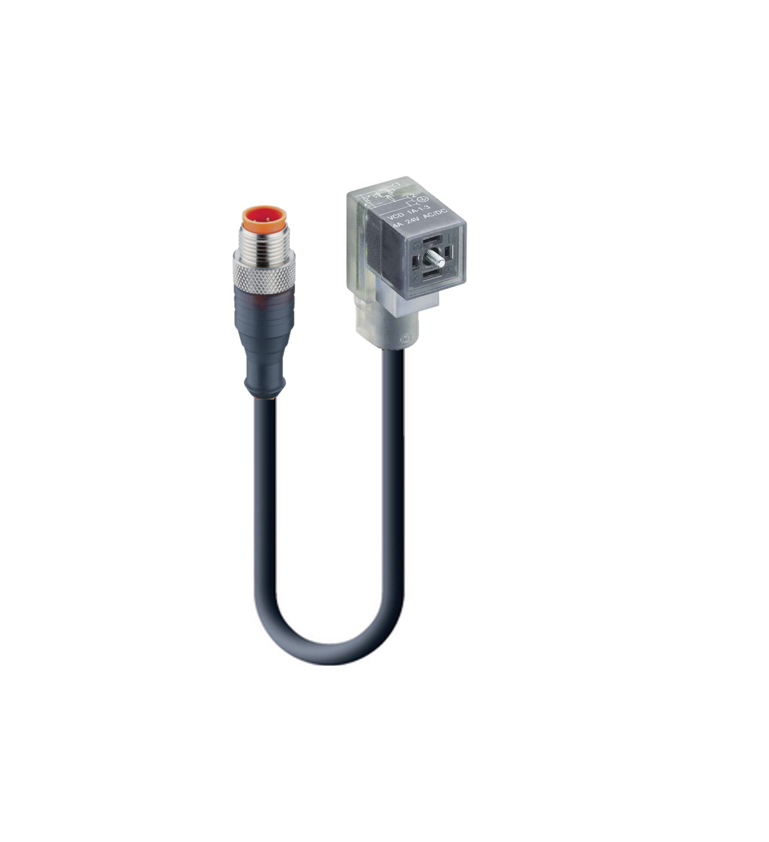 DIN EN 175301-803-C, Cordset, double ended