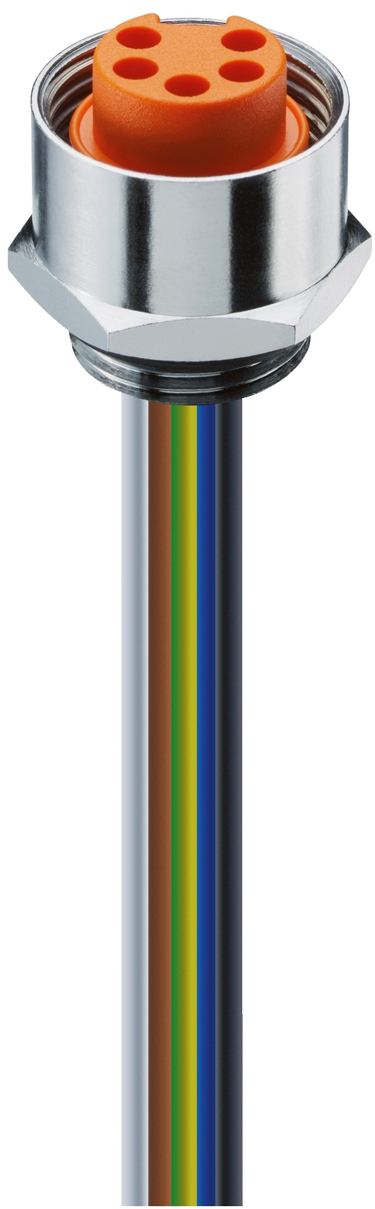 JPG-179298.jpg