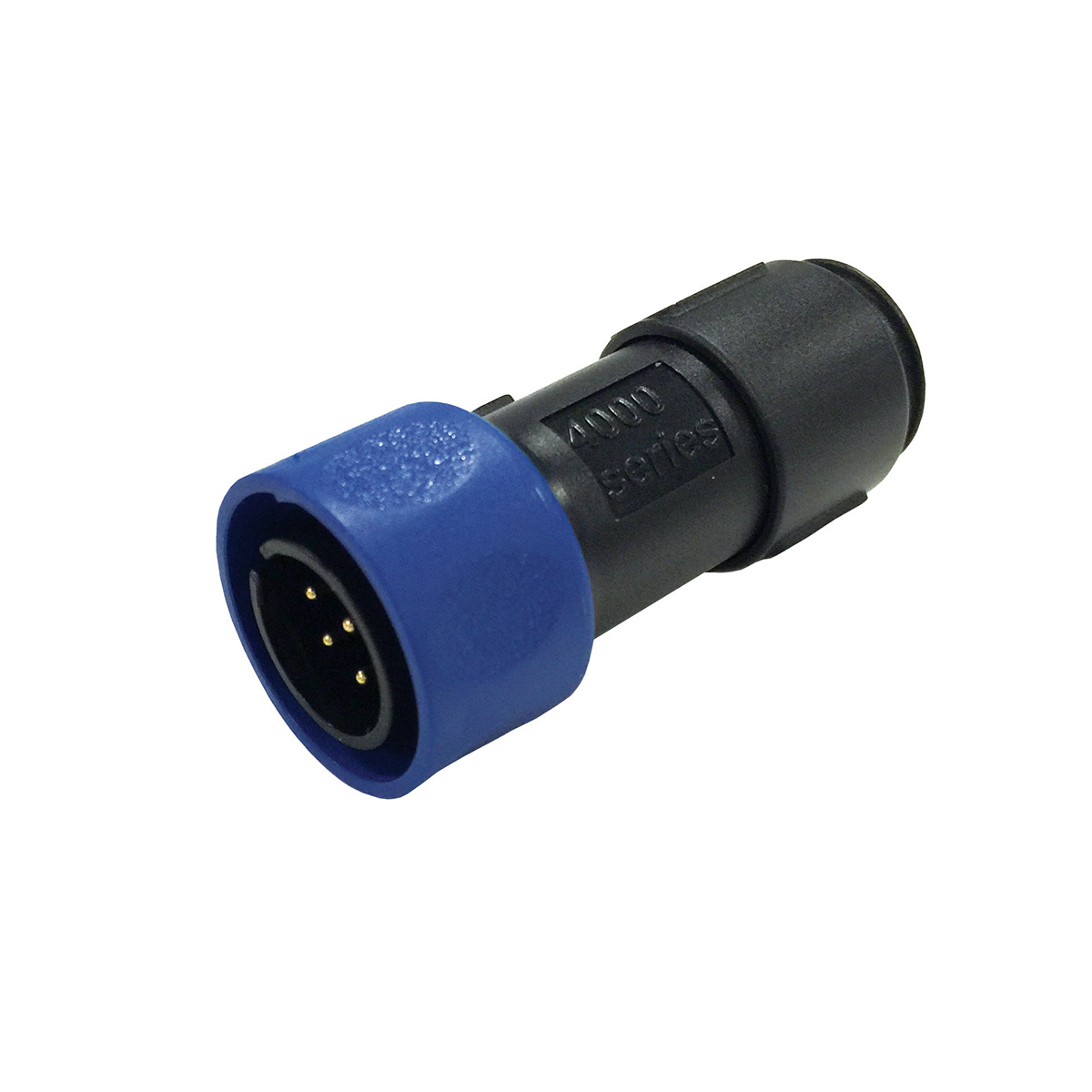 ___p__pxp4010_162.jpg