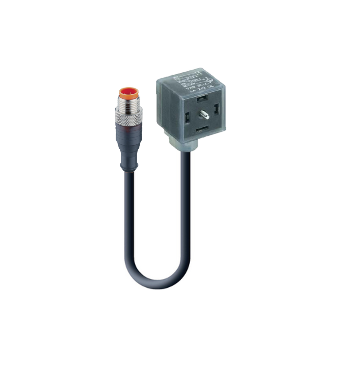 DIN EN 175301-803-A, Cordset, double ended