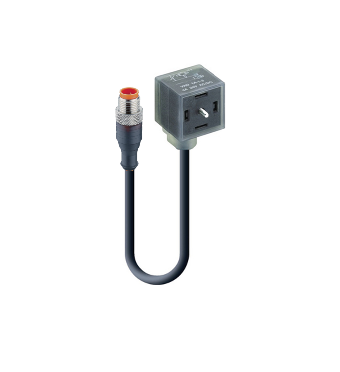 DIN EN 175301-803-A, Cordset, double ended
