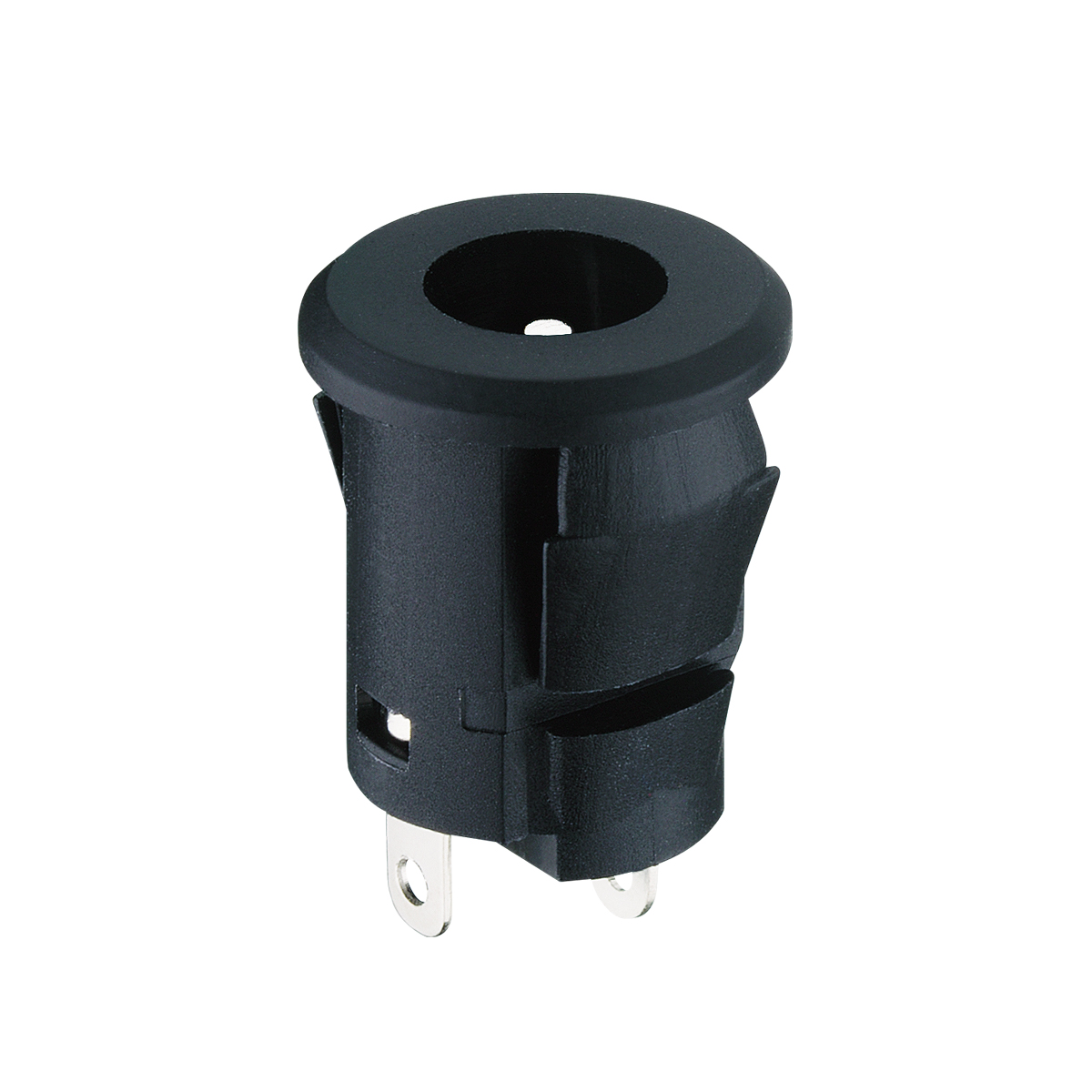 Power supply chassis socket