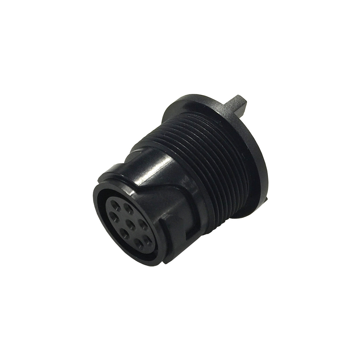 ___p__pxp4013_59.jpg